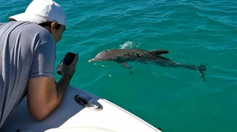 Key West Dolphin & Snorkel Tour - Small Group - What the Reviews Say