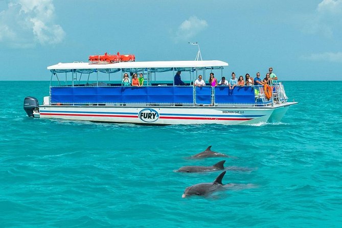 Key West Dolphin Watch and Snorkel Cruise - What to Expect