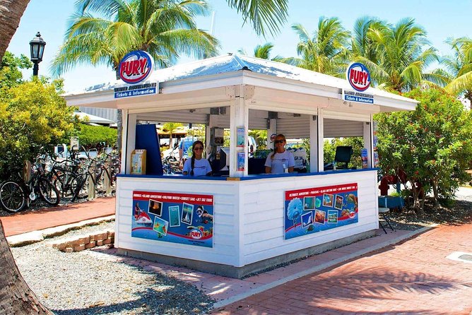 Key West Dolphin Watch and Snorkel Cruise - Snorkeling Among Colorful Marine Life