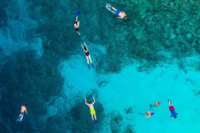 Key West Dolphin Watch Snorkel or Other Options - Customer Reviews and Experiences