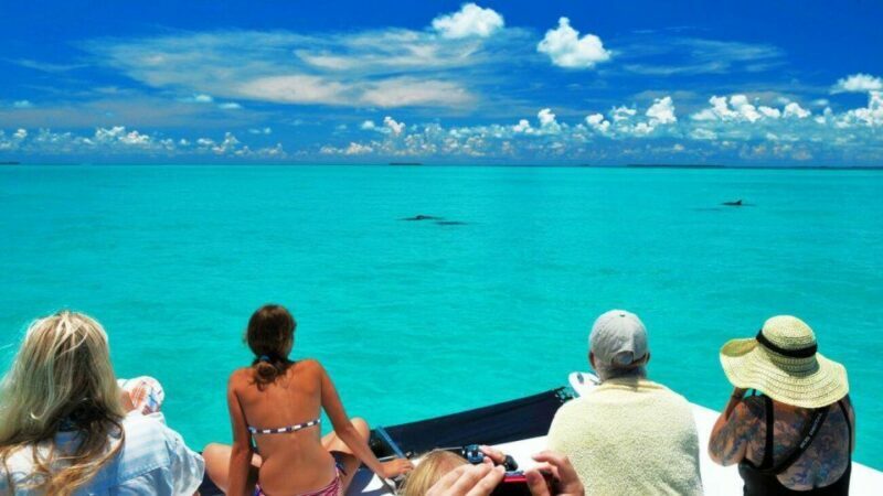 Key West: Dolphin Watching and Snorkeling Eco Cruise Tour - The Itinerary: A Balanced Mix of Nature and Relaxation