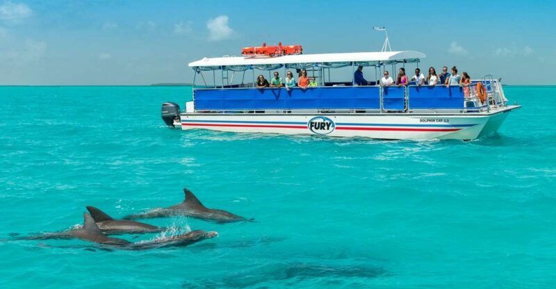 Key West: Dolphin Watching and Snorkeling Eco Cruise Tour - FAQ Section