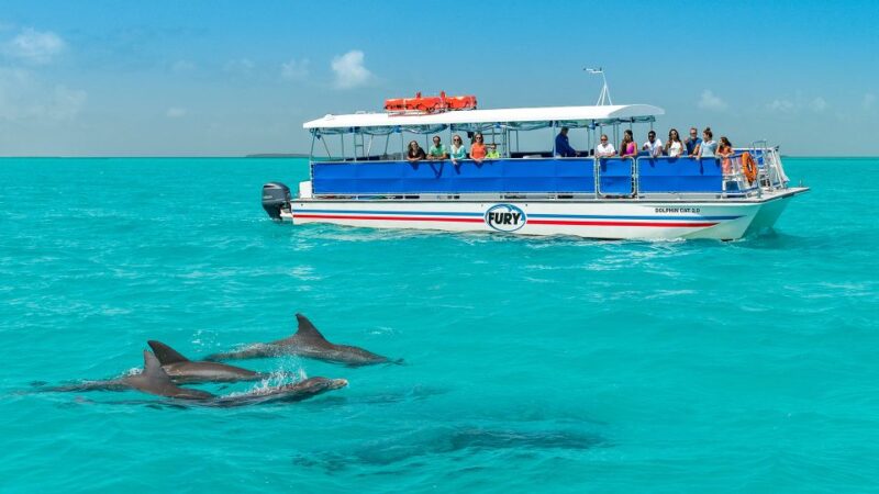 Key West: Dolphin Watching and Snorkeling Eco Cruise Tour - Detailed Tour Information