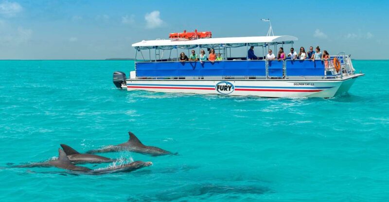 Key West: Dolphin Watching and Snorkeling Eco Cruise Tour - Responsible Dolphin Observation