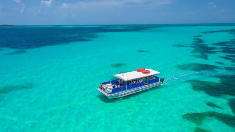 Key West: Dolphin Watching and Snorkeling Eco Cruise Tour - Customer Reviews and Ratings
