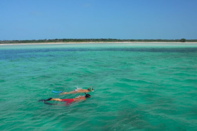 Key West: Dolphin Watching and Snorkeling Eco Cruise Tour - Guide and Transportation Ratings
