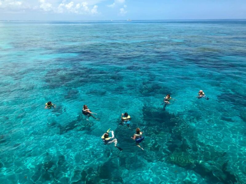 Key West: Dolphin Watching and Snorkeling Sunset Cruise - Customer Reviews and Ratings
