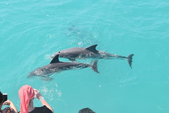 Key West: Dolphin Watching Cruise & Snorkeling Unlimited Beer & Soda - Meeting and End Points