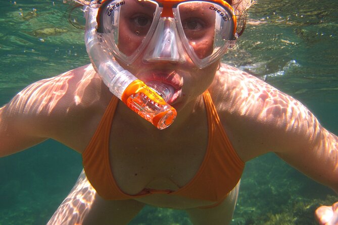 Key West: Dolphin Watching Cruise & Snorkeling Unlimited Beer & Soda - Additional Information
