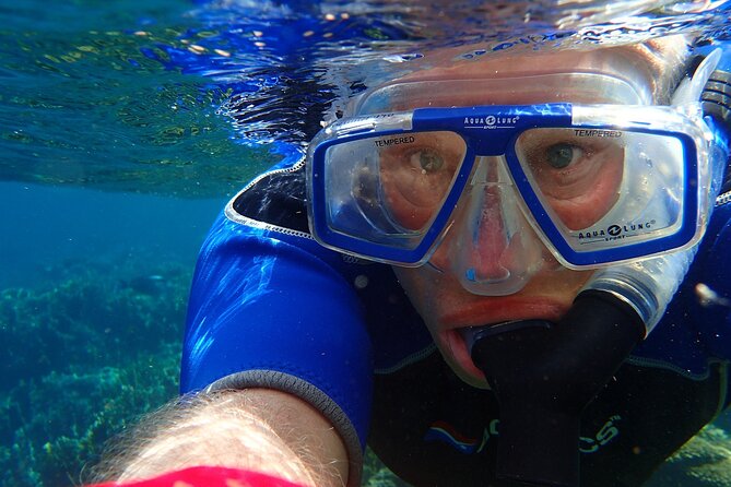 Key West: Dolphin Watching Cruise & Snorkeling Unlimited Beer & Soda - Reviews and Ratings
