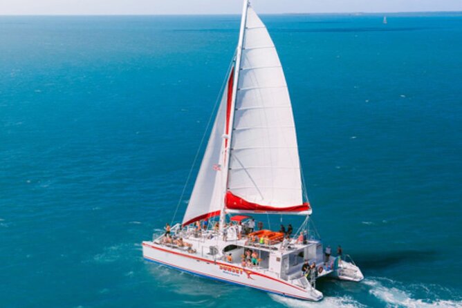 Key West: Dolphin Watching Cruise & Snorkeling Unlimited Beer & Soda - Cruise Highlights