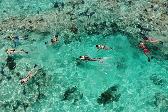 Key West: Dolphin Watching Cruise & Snorkeling Unlimited Beer & Soda - Snorkeling Experience