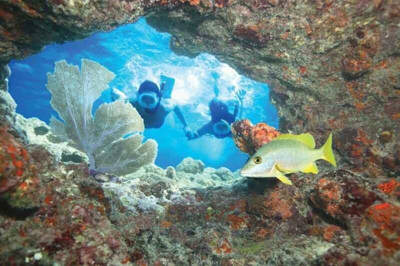 Key West Double Dip: 2-Stop Reef Snorkeling Trip - An In-Depth Look at the Double Dip Snorkeling Tour