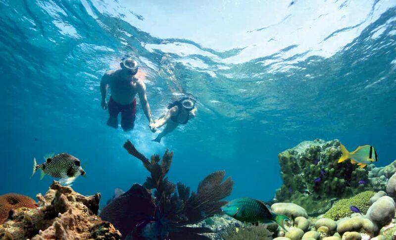 Key West Double Dip: 2-Stop Reef Snorkeling Trip - The Sum Up