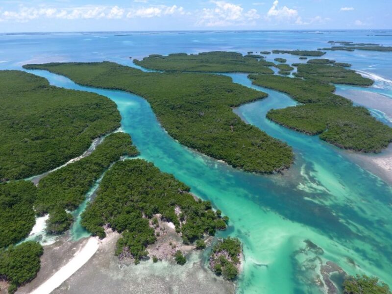 Key West: Eco Safari Sandbar Tour With Snorkeling - Experience Highlights