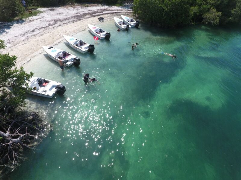 Key West: Eco Safari Sandbar Tour With Snorkeling - Tour Details