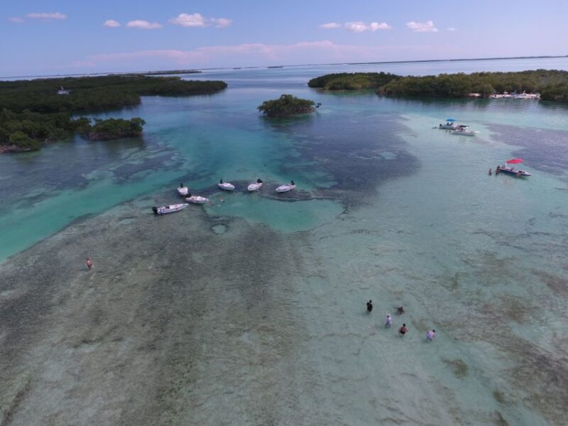 Key West: Eco Safari Sandbar Tour With Snorkeling - Important Information