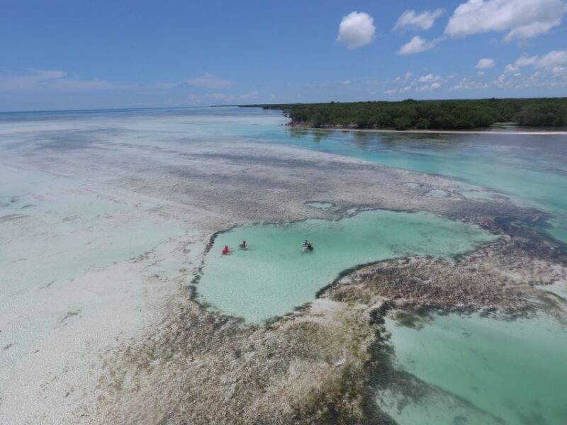 Key West: Eco Safari Sandbar Tour With Snorkeling - Customer Reviews
