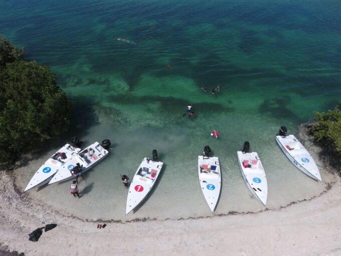 Key West: Eco Safari Sandbar Tour With Snorkeling - What to Expect on the Tour