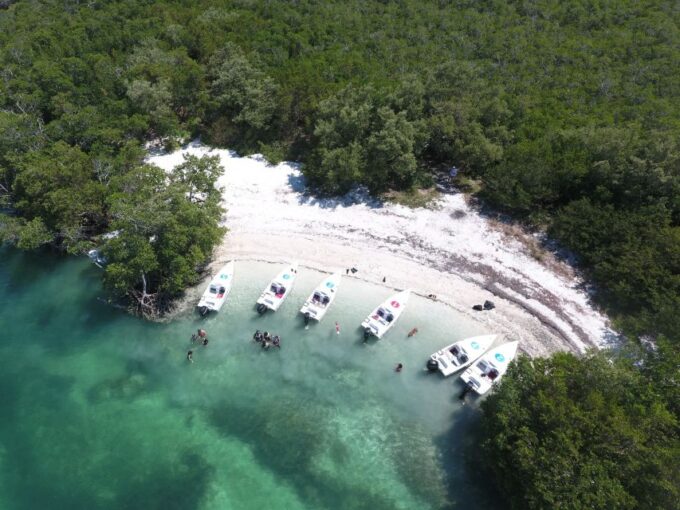 Key West: Eco Safari Sandbar Tour With Snorkeling - Frequently Asked Questions