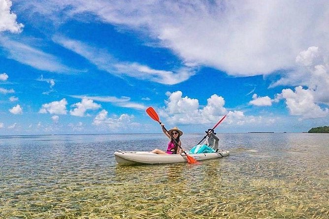 Key West Full-Day Ocean Adventure: Kayak, Snorkel, Sail - Kayaking Through Mangroves