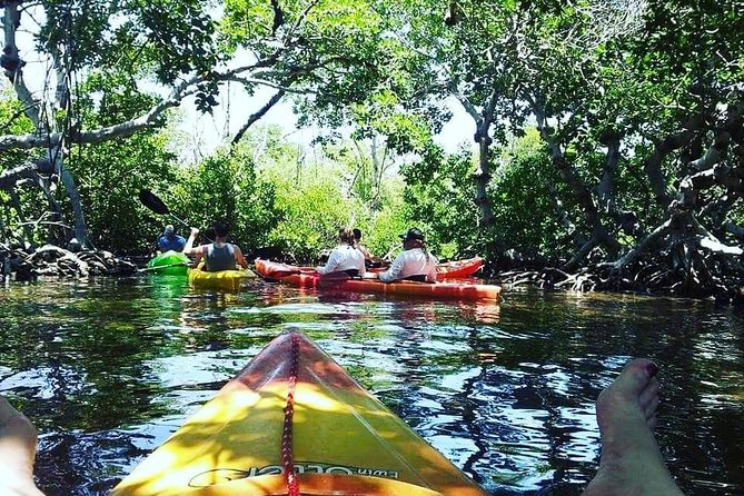 Key West Full-Day Ocean Adventure: Kayak, Snorkel, Sail - Knowledgeable Guide Assistance