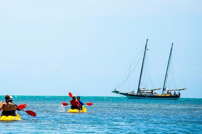 Key West: Full Day Tour of Key West National Wildlife Refuge - Key Points