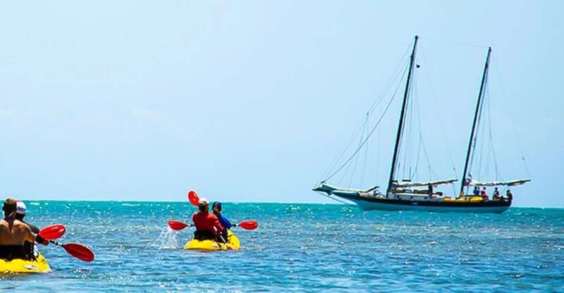 Key West: Full Day Tour of Key West National Wildlife Refuge - What to Bring