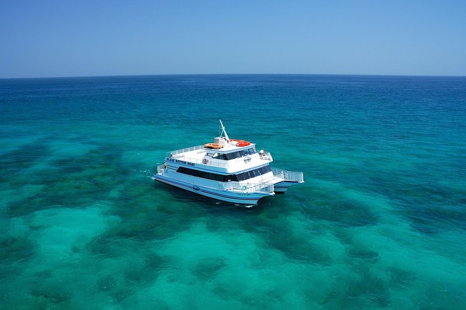 Key West Glass-Bottom Boat Tour With Sunset Option - Highlights of the Coral Reef Ecosystem