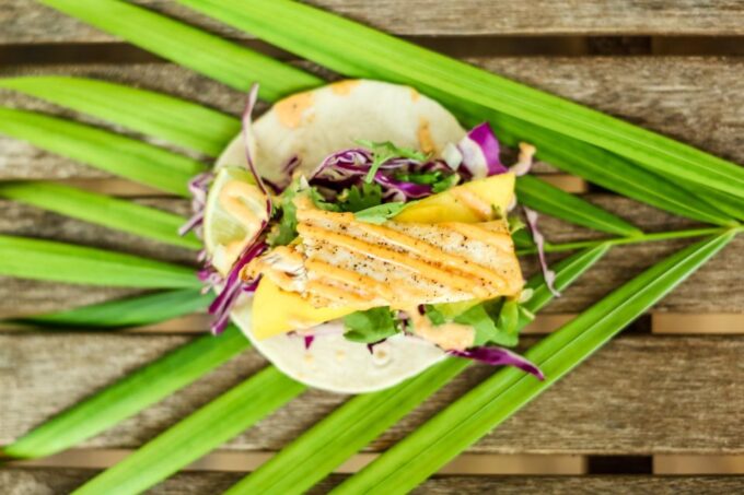 Key West: Hemingway Tour With 3 Food Tastings & 3 Cocktails - Accessibility and Accommodations