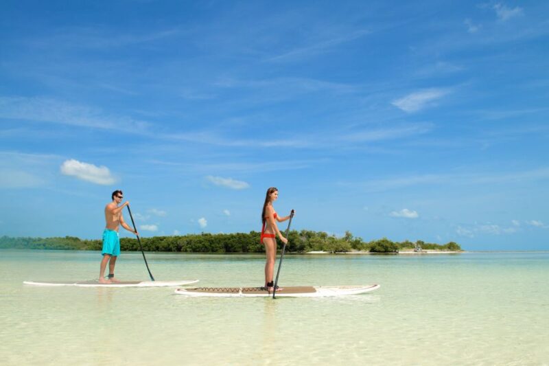 Key West Island Adventure Eco Tour - Activities and Experience Highlights