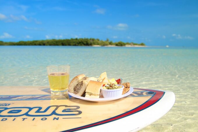 Key West Island Adventure Eco Tour - Snorkeling and Underwater Life