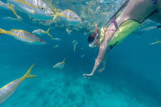 Key West Island Eco Tour With Transportation From Miami - Inclusions and Exclusions