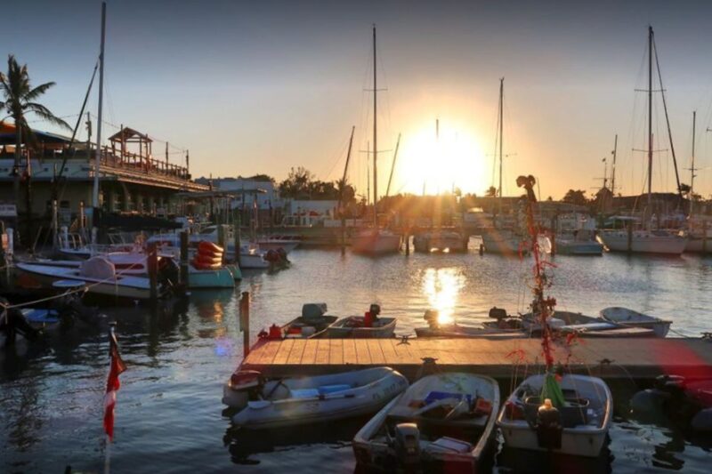 Key West: Jimmy Buffet Walking Tour With Key Lime Pie - Key Points