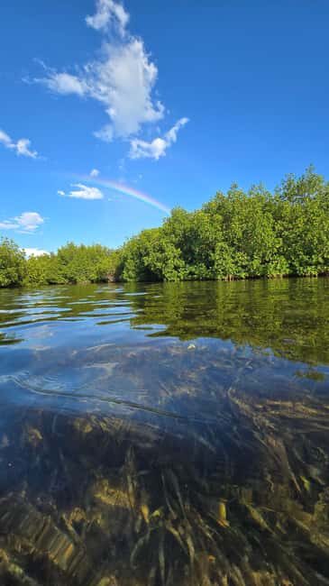 Key West: Kayak or Paddleboard Rental - The Authentic Touch of Geiger Key’s Mangroves