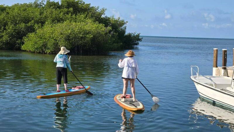 Key West: Kayak or Paddleboard Rental - Practical Tips for Your Paddle Adventure
