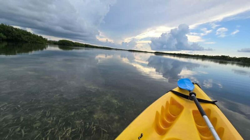Key West: Mangrove Kayak or SUP Eco Tour - Introduction: Why This Tour Might Be Perfect for You