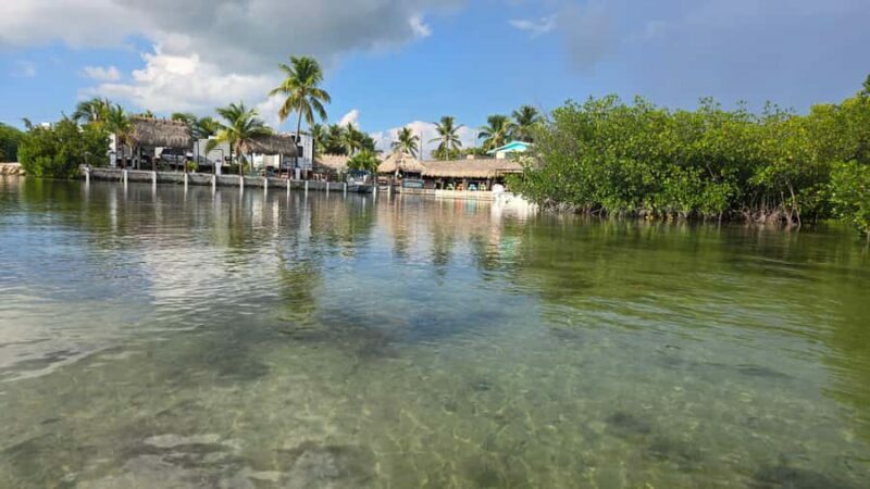 Key West: Mangrove Kayak or SUP Eco Tour - The Sum Up: Who Should Consider This Tour?