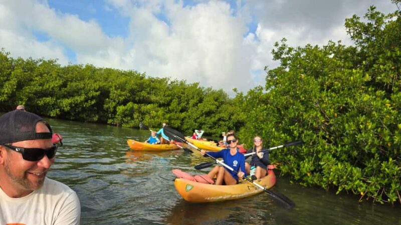 Key West: Mangrove Kayak or SUP Eco Tour - FAQ