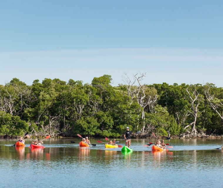 Key West Morning Sail, Snorkel & Kayak Excursion - What to Bring