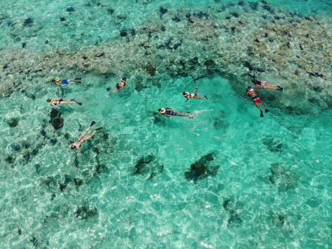 Key West: Reef Snorkel Morning Tour With Breakfast & Mimosas - Snorkeling Gear and Safety