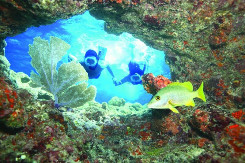 Key West: Reef Snorkeling with Drinks and Sunset Option - Who Should Consider This Tour?