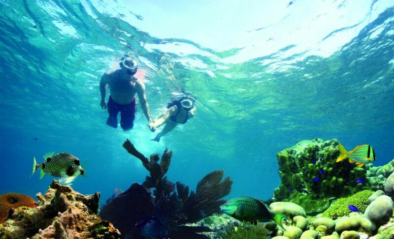 Key West: Reef Snorkeling with Drinks and Sunset Option - FAQs