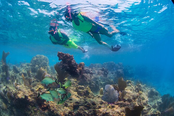 Key West Rum and Reef: Snorkel Adventure and Sunset Sail - Participation Requirements