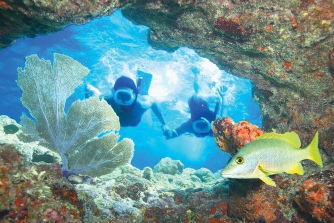 Key West Rum and Reef: Snorkel Adventure and Sunset Sail - Cancellation Policy
