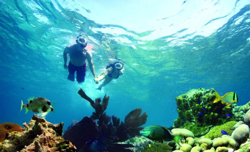 Key West: Rum and Reggae Afternoon Snorkel and Sunset - Pricing and Booking