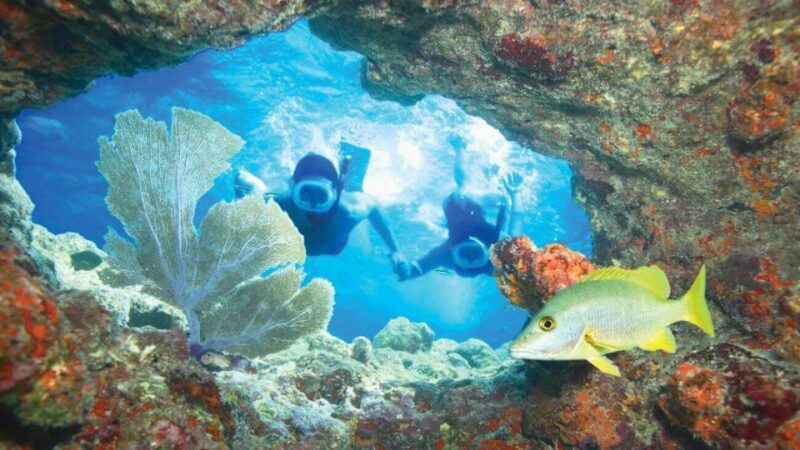 Key West: Rum and Reggae Afternoon Snorkel and Sunset - Highlights of the Tour