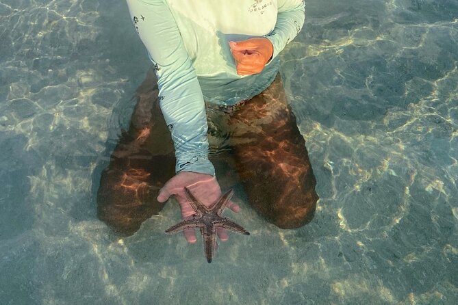 Key West Sand Bar, Sunset and Eco Trip - Operating Hours