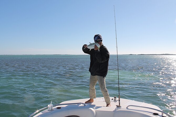 Key West Sand Bar, Sunset and Eco Trip - Dolphin, Shark, and Turtle Sightings