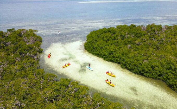 Key West: Sandbar Excursion & Kayak Tour With Lunch & Drinks - Relax at the Secluded Sandbar